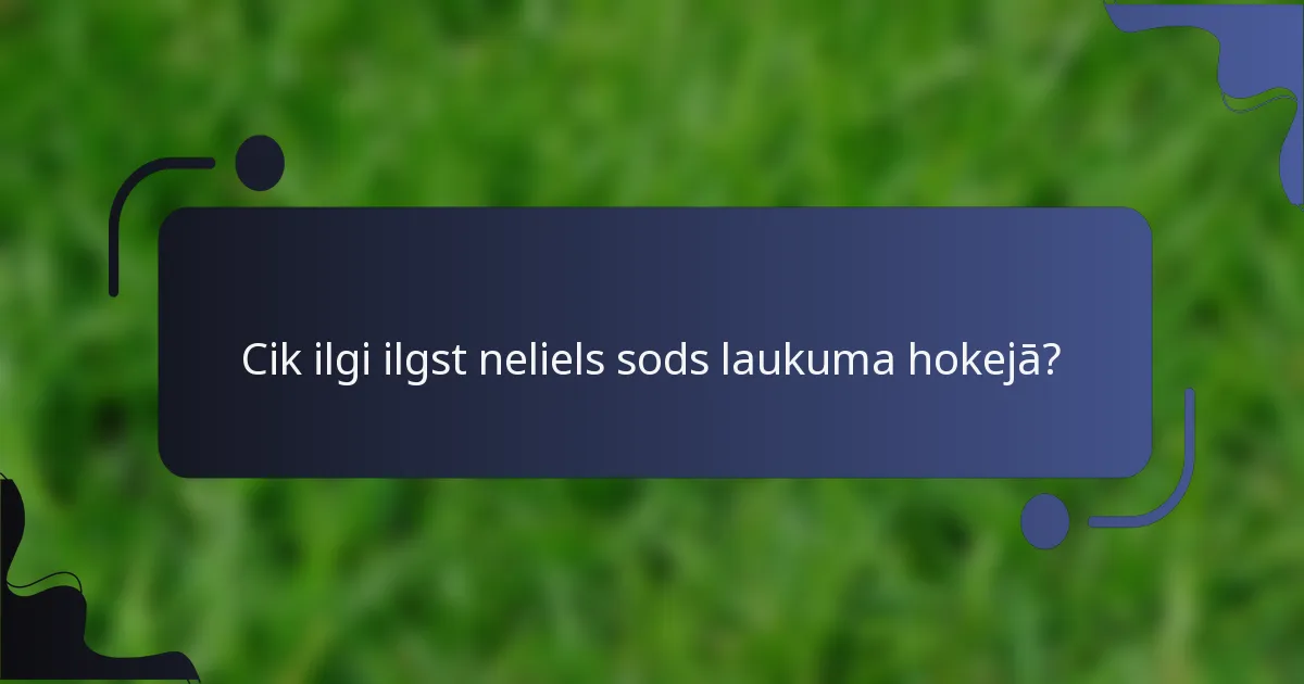 Cik ilgi ilgst neliels sods laukuma hokejā?