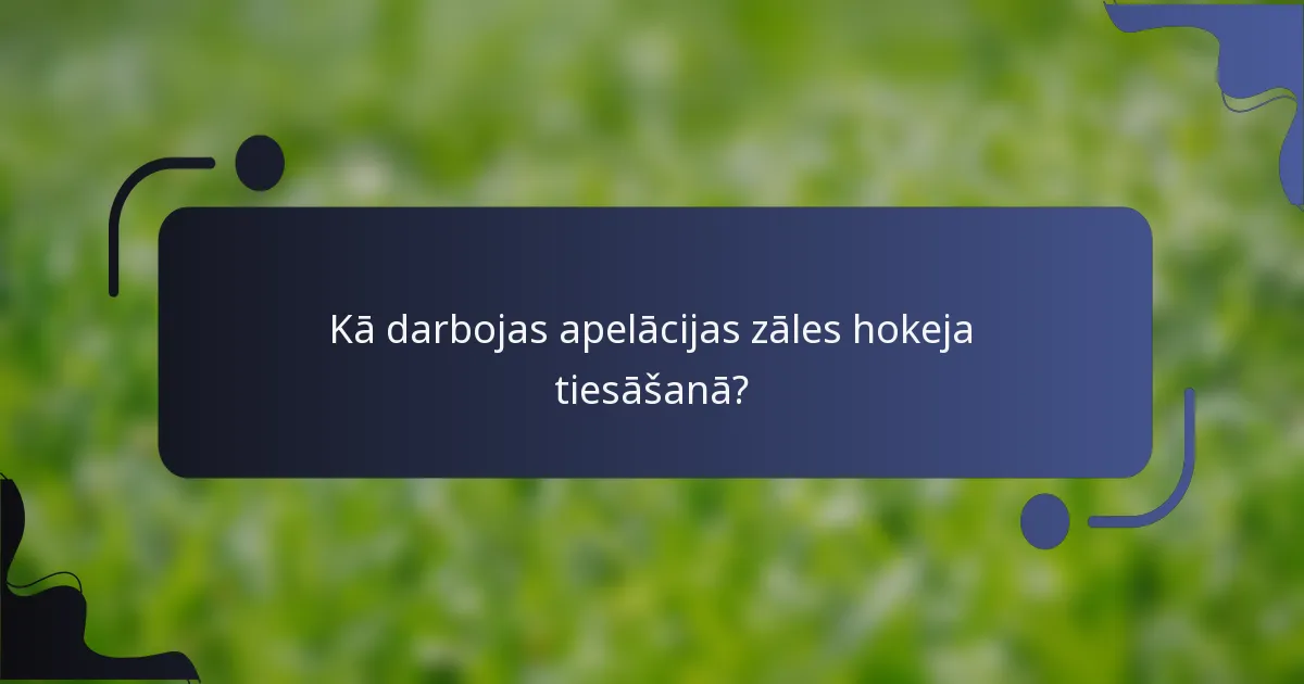 Kā darbojas apelācijas zāles hokeja tiesāšanā?