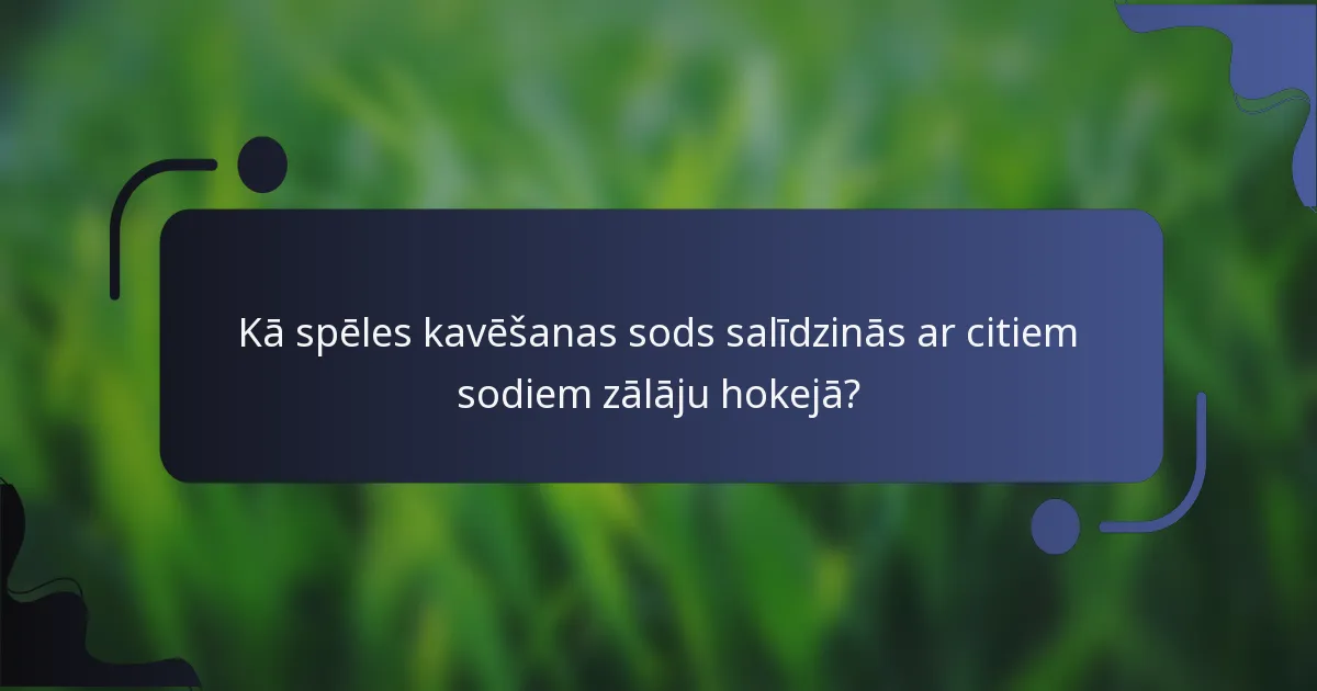 Kā spēles kavēšanas sods salīdzinās ar citiem sodiem zālāju hokejā?