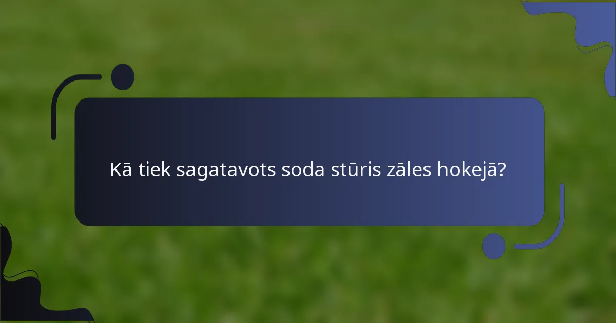 Kā tiek sagatavots soda stūris zāles hokejā?