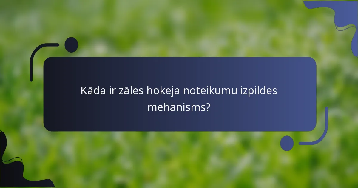 Kāda ir zāles hokeja noteikumu izpildes mehānisms?