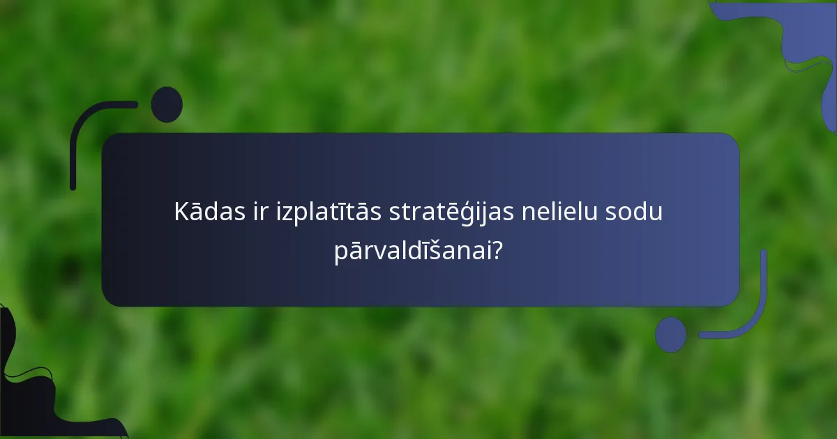 Kādas ir izplatītās stratēģijas nelielu sodu pārvaldīšanai?