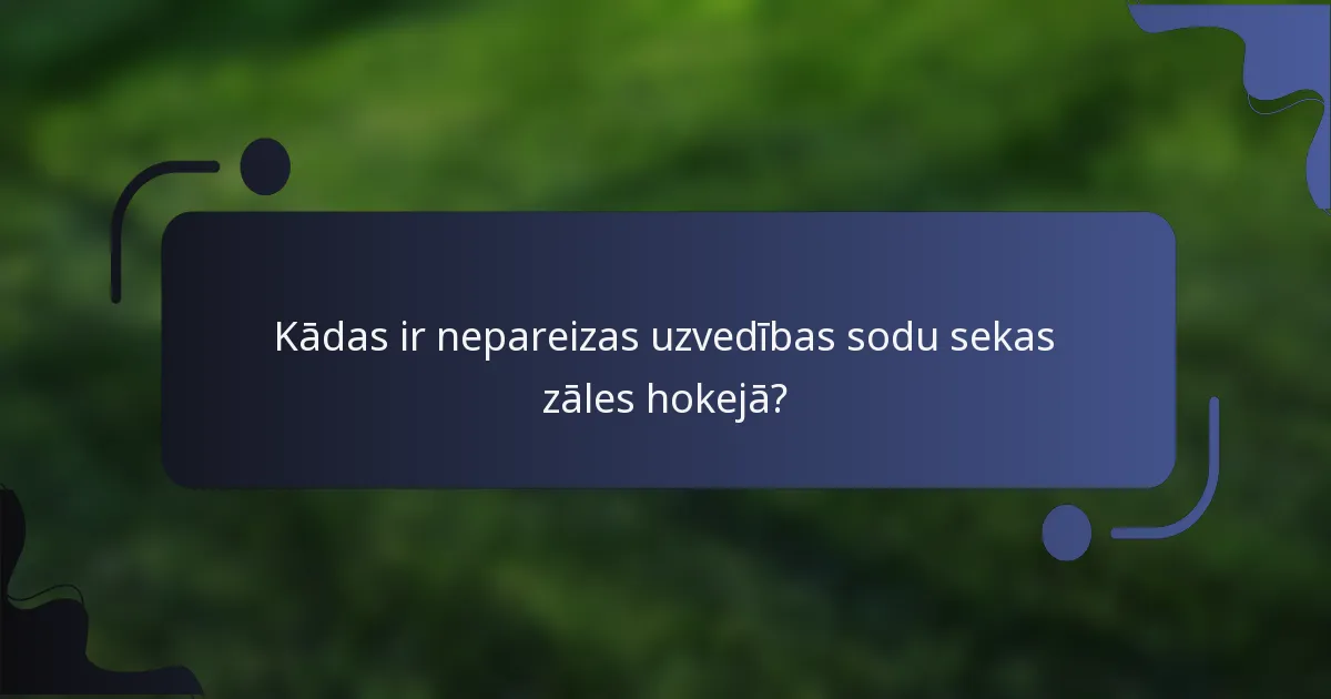 Kādas ir nepareizas uzvedības sodu sekas zāles hokejā?