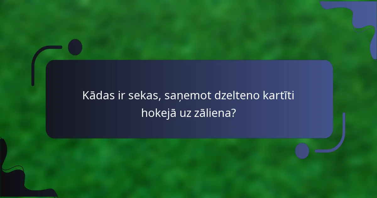Kādas ir sekas, saņemot dzelteno kartīti hokejā uz zāliena?
