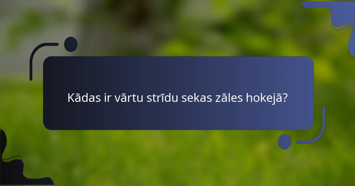 Kādas ir vārtu strīdu sekas zāles hokejā?