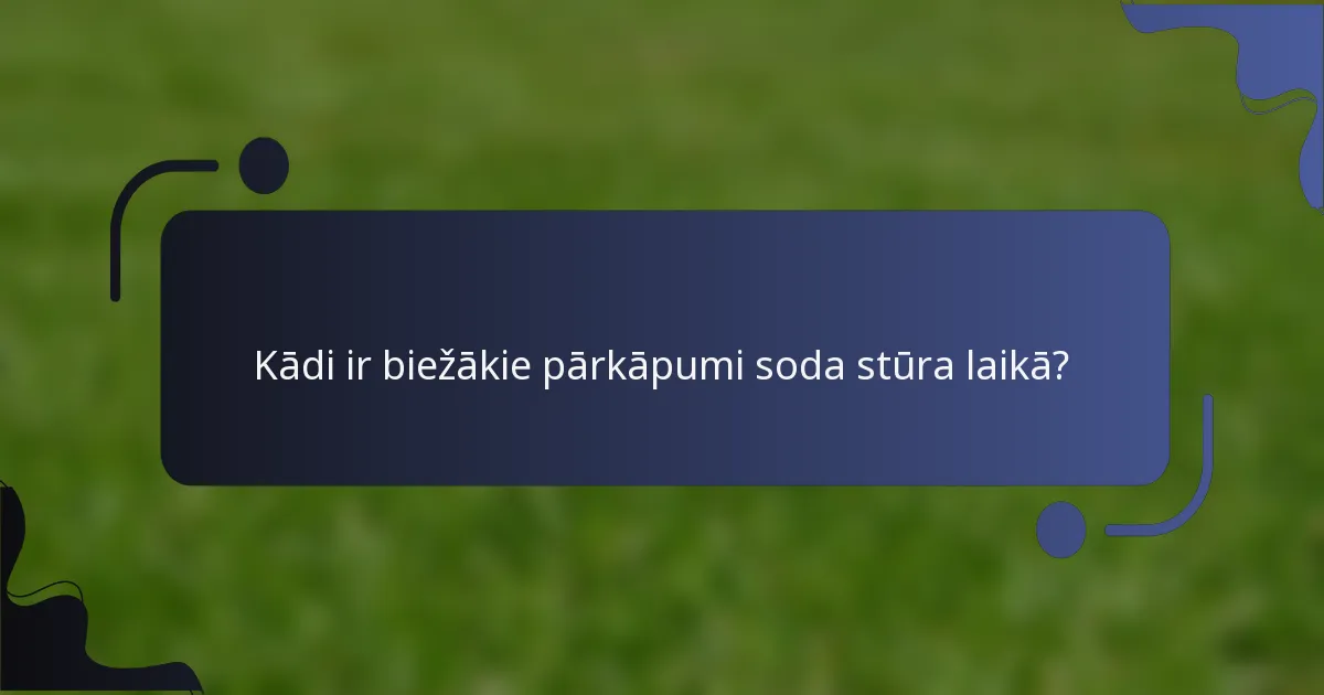Kādi ir biežākie pārkāpumi soda stūra laikā?