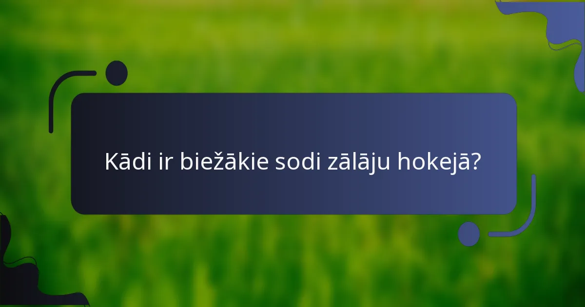Kādi ir biežākie sodi zālāju hokejā?