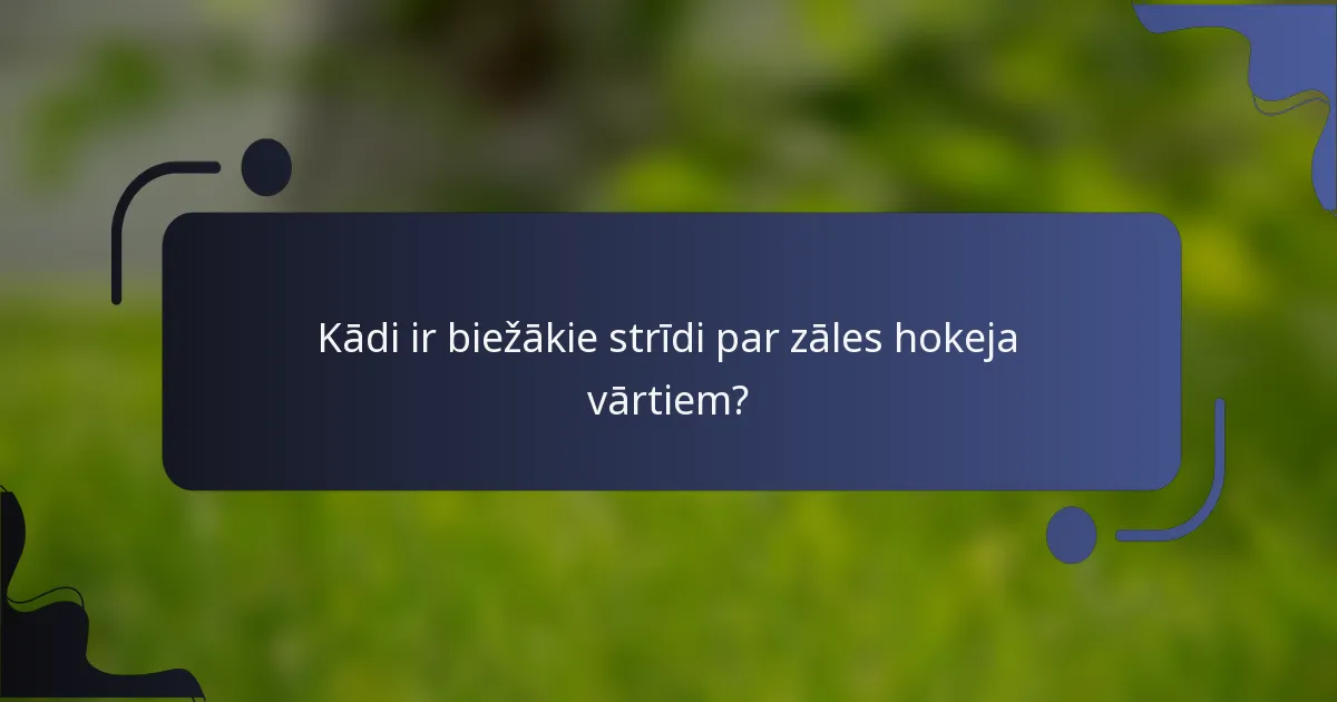 Kādi ir biežākie strīdi par zāles hokeja vārtiem?