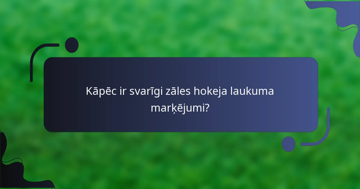Kāpēc ir svarīgi zāles hokeja laukuma marķējumi?
